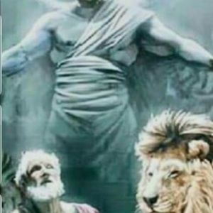 Meet your Posher, Wilser